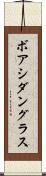 ボアシダングラス Scroll