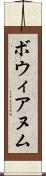 ボウィアヌム Scroll