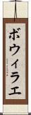 ボウィラエ Scroll