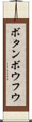 ボタンボウフウ Scroll