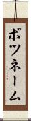 ボツネーム Scroll