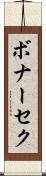 ボナーセク Scroll