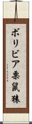 ボリビア栗鼠猿 Scroll
