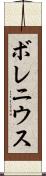 ボレニウス Scroll