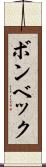 ボンベック Scroll