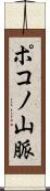 ポコノ山脈 Scroll