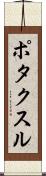 ポタクスル Scroll