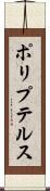 ポリプテルス Scroll