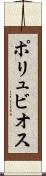ポリュビオス Scroll