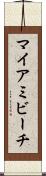 マイアミビーチ Scroll