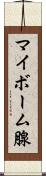 マイボーム腺 Scroll