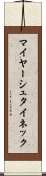 マイヤーシュタイネック Scroll