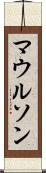 マウルソン Scroll