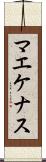マエケナス Scroll