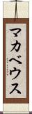 マカベウス Scroll
