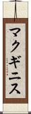 マクギニス Scroll