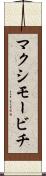 マクシモービチ Scroll