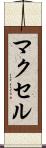 マクセル Scroll