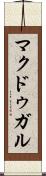 マクドゥガル Scroll