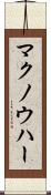 マクノウハー Scroll