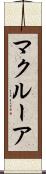 マクルーア Scroll