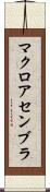 マクロ・アセンブラ Scroll