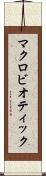マクロビオティック Scroll