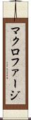 マクロファージ Scroll