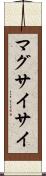 マグサイサイ Scroll