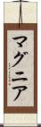マグニア Scroll