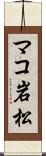 マコ岩松 Scroll