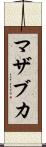 マザブカ Scroll