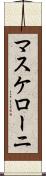 マスケローニ Scroll