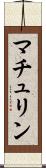 マチュリン Scroll