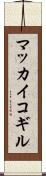 マッカイコギル Scroll