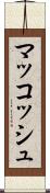 マッコッシュ Scroll