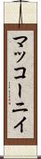 マッコーニイ Scroll