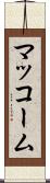 マッコーム Scroll