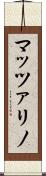 マッツァリノ Scroll