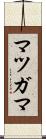 マツガマ Scroll