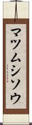 マツムシソウ Scroll