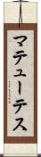 マテューテス Scroll