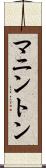 マニントン Scroll