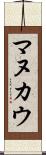マヌカウ Scroll