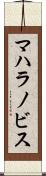 マハラノビス Scroll