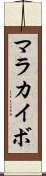 マラカイボ Scroll