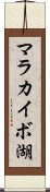 マラカイボ湖 Scroll