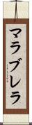 マラブレラ Scroll