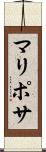 マリポサ Scroll