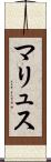 マリュス Scroll